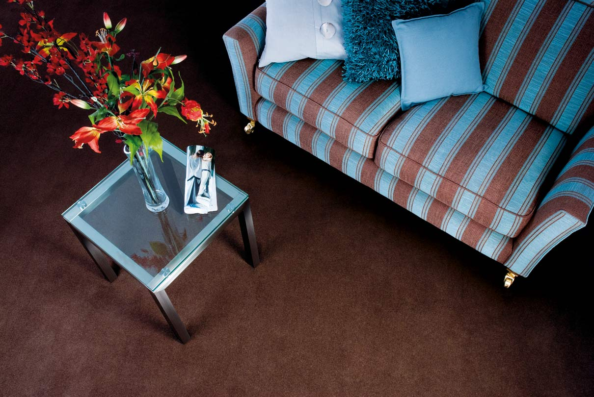 Dark chocolate-brown carpet in a living room, with a blue and brown striped sofa and a glass side table holding red lilies.